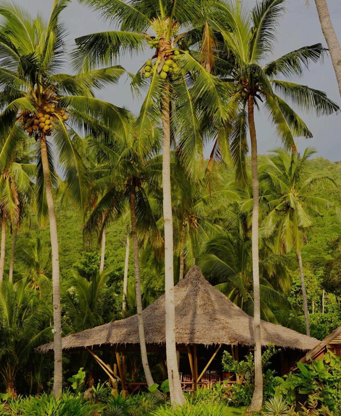 Eco Sanctuaries Nature Lodge Nacpan Beach, เอลนิโด ภายนอก รูปภาพ